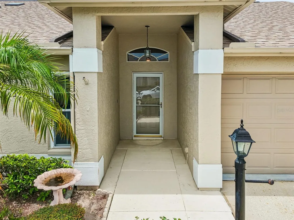 3537 Birkdale Lane Palm Harbor FL 34684