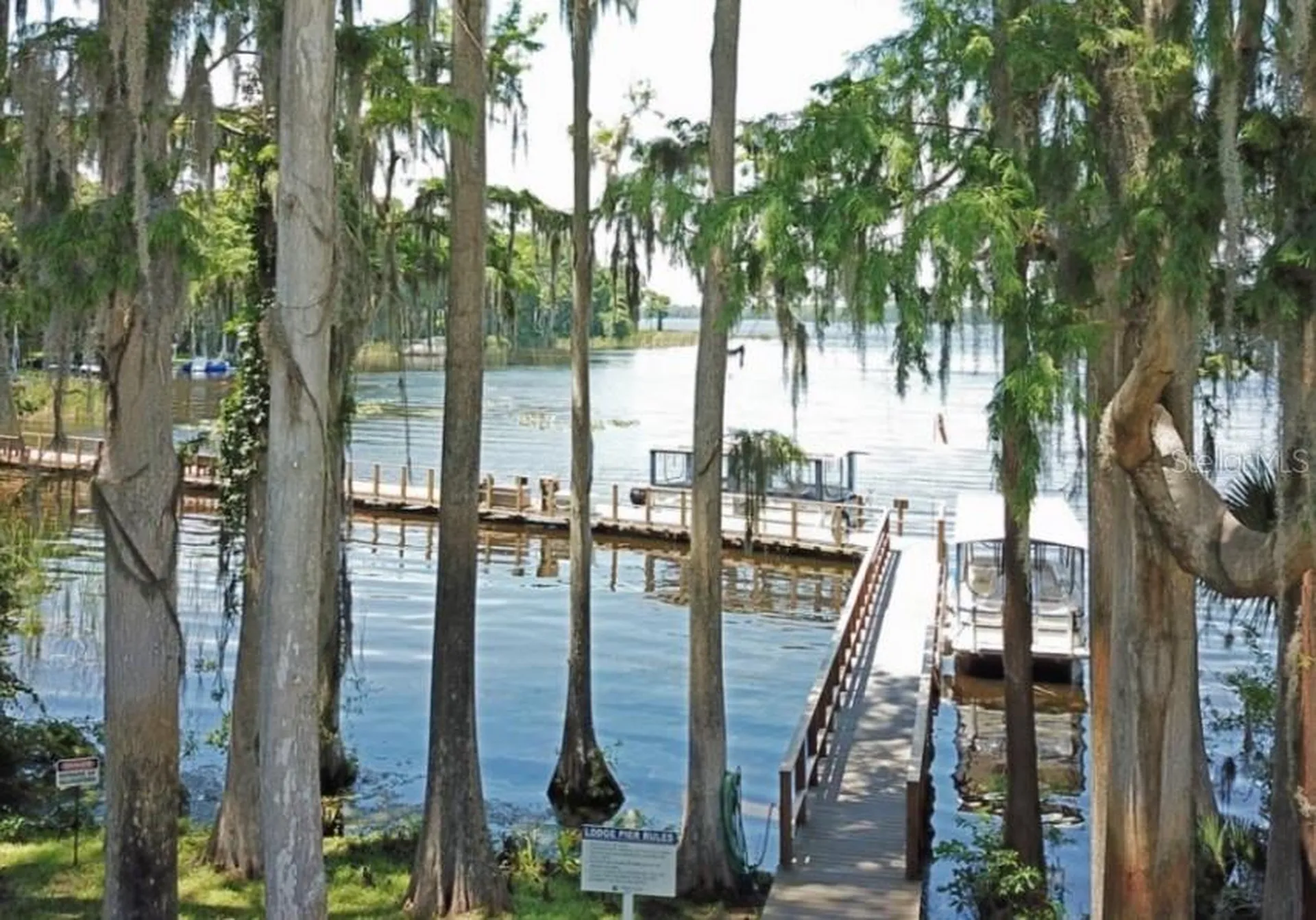3537 Birkdale Lane Palm Harbor FL 34684