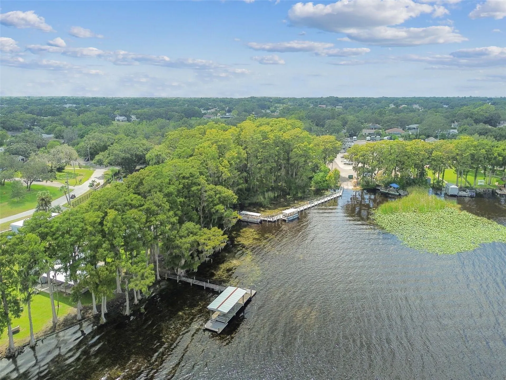 3537 Birkdale Lane Palm Harbor FL 34684