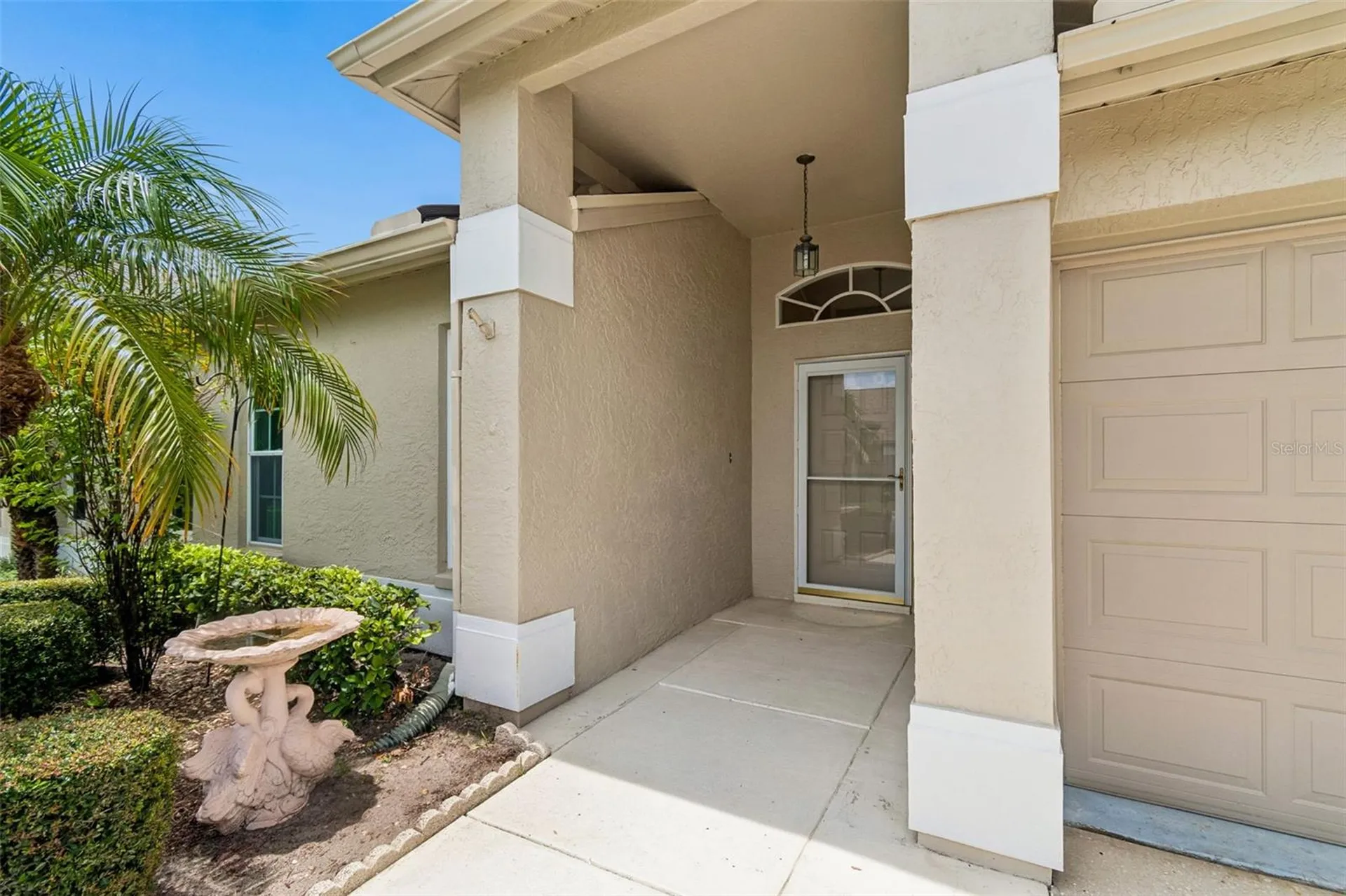 3537 Birkdale Lane Palm Harbor FL 34684