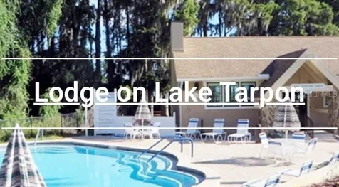 3537 Birkdale Lane Palm Harbor FL 34684