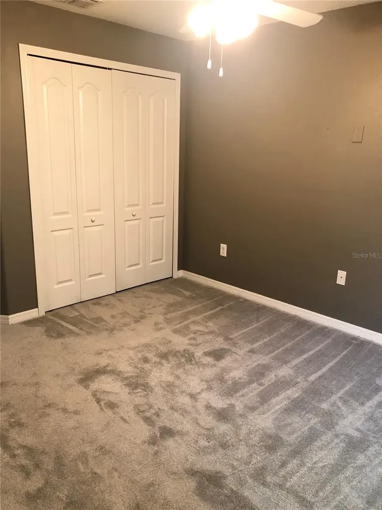 8541 Brushleaf Way Tampa FL 33647
