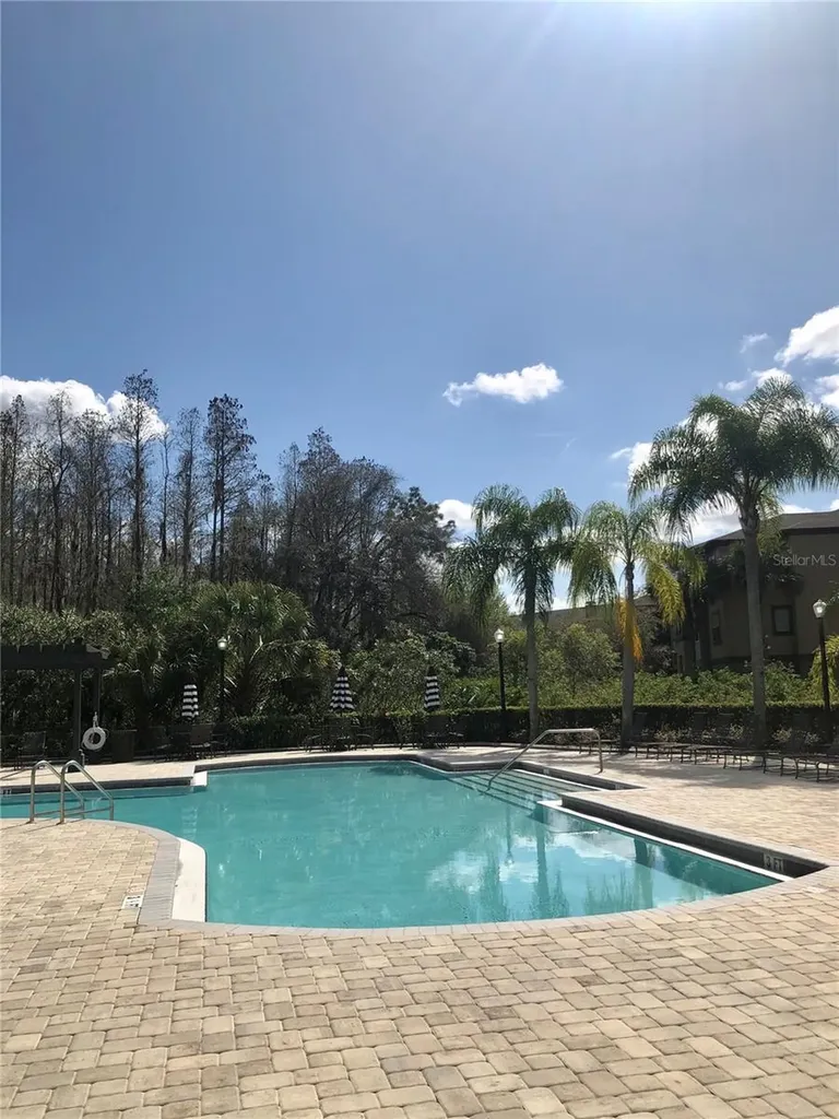 8541 Brushleaf Way Tampa FL 33647