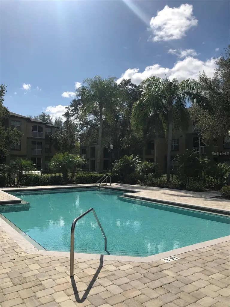 8541 Brushleaf Way Tampa FL 33647