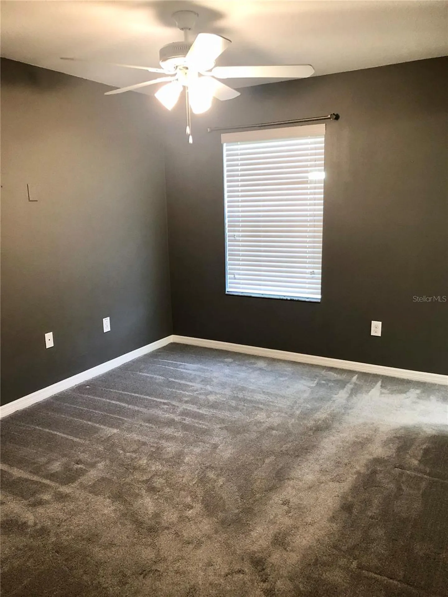 8541 Brushleaf Way Tampa FL 33647