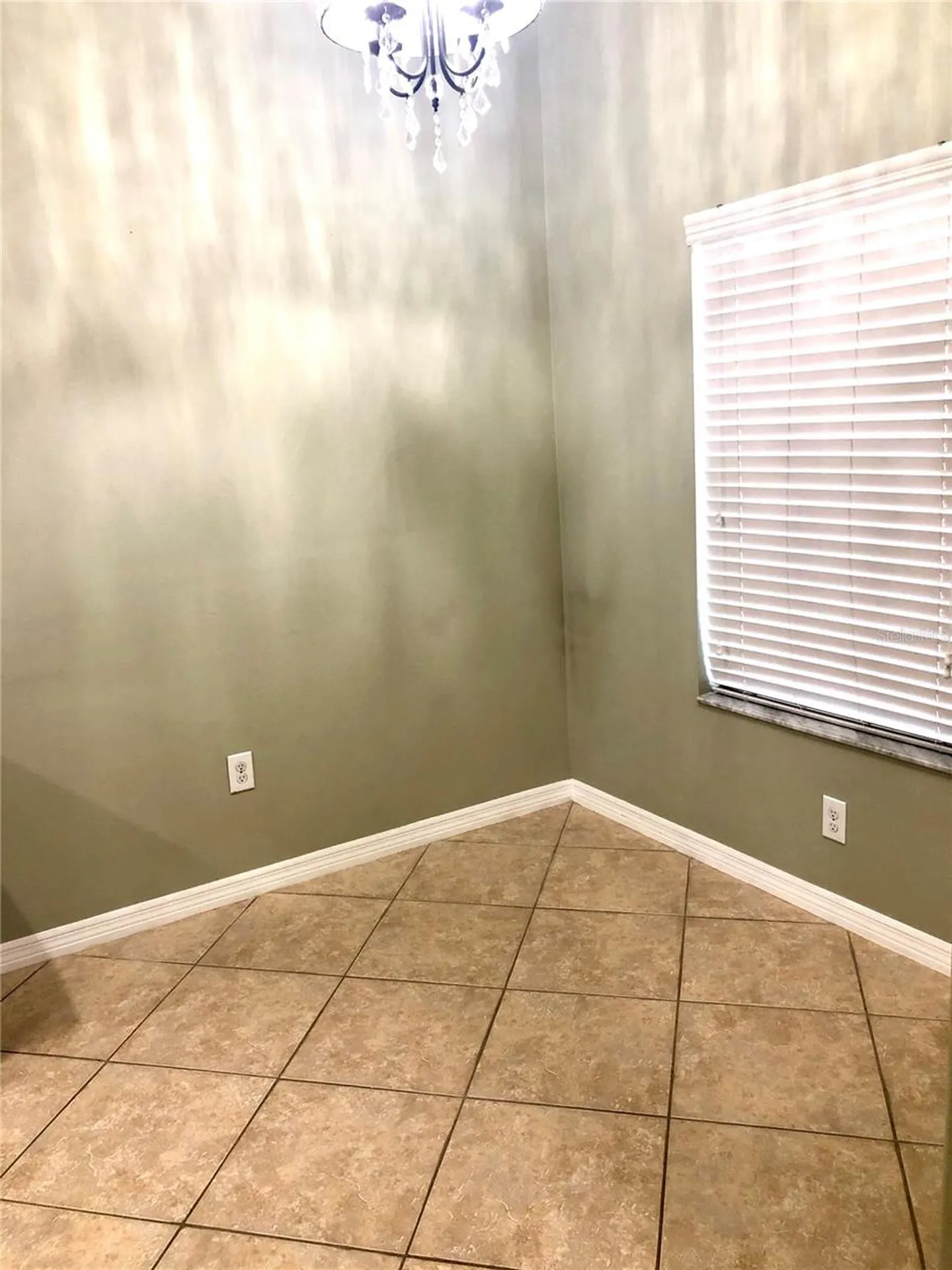 8541 Brushleaf Way Tampa FL 33647