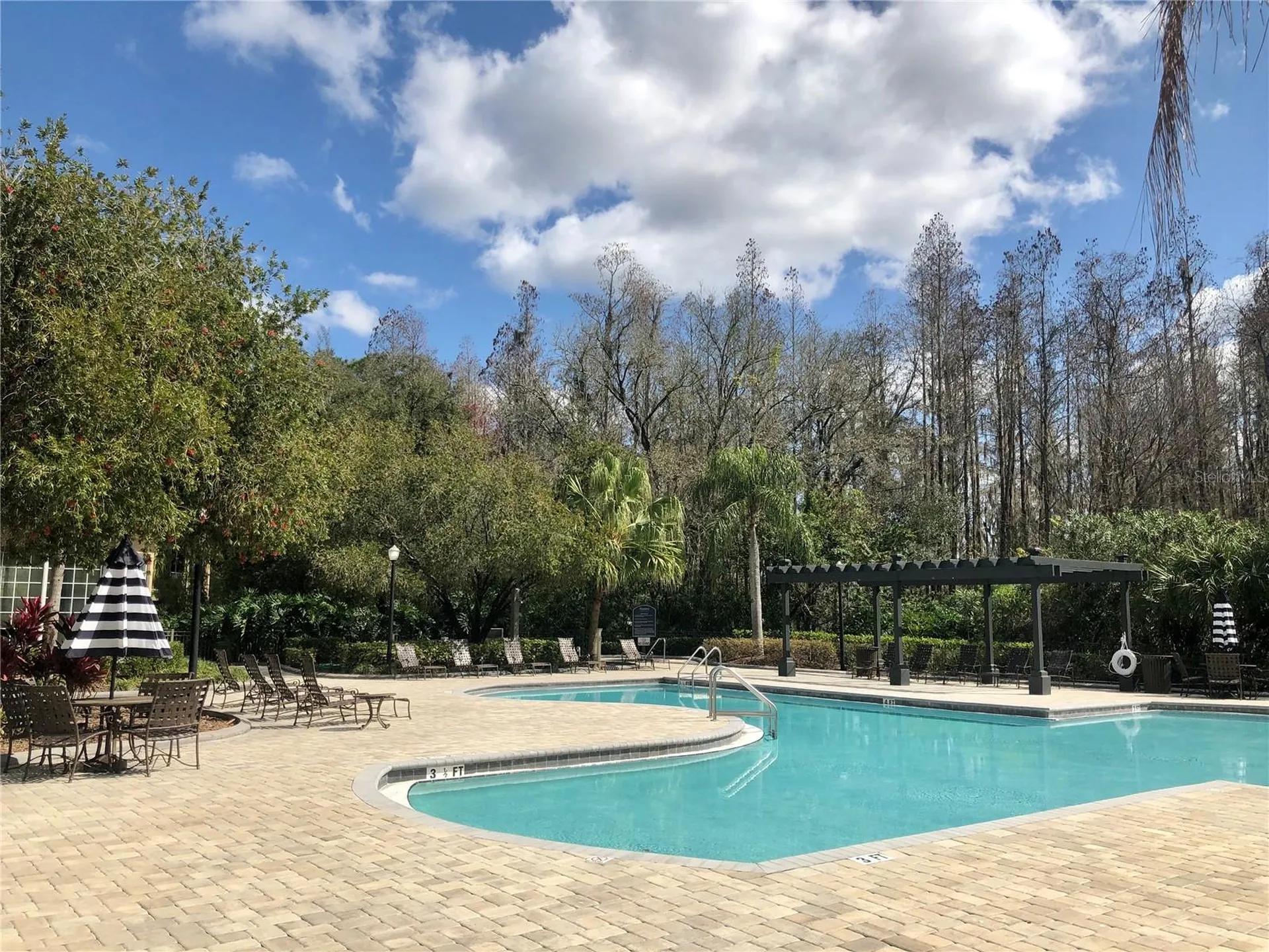 8541 Brushleaf Way Tampa FL 33647