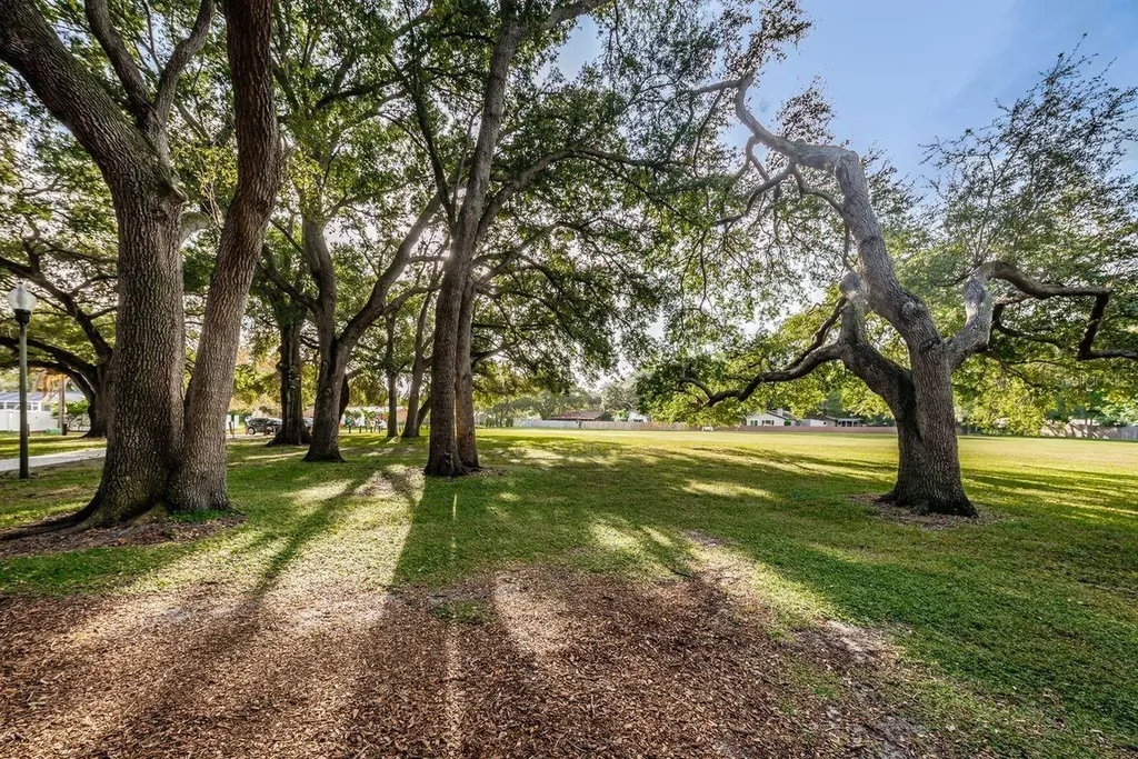 1614 Dale Circle N Dunedin FL 34698