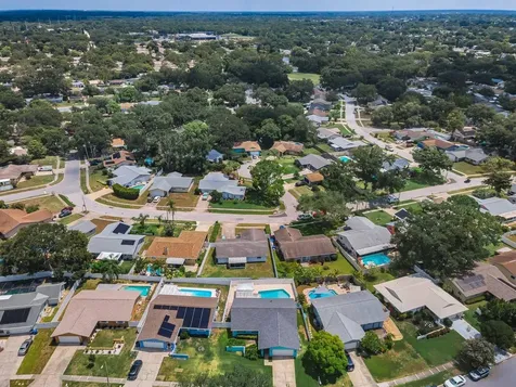 1614 Dale Circle N Dunedin FL 34698