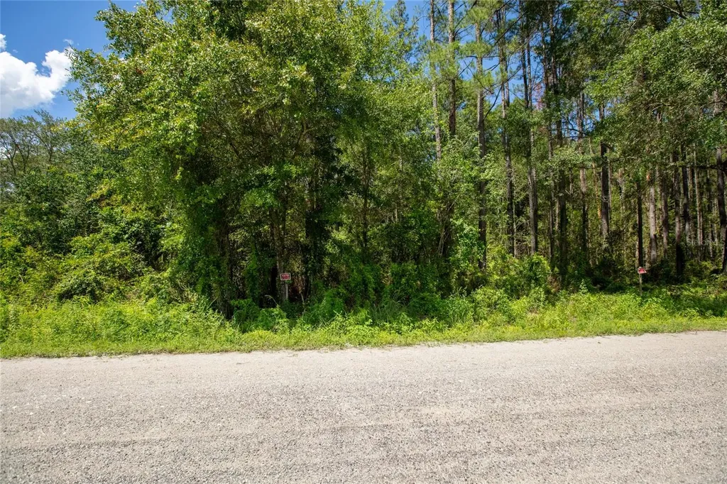 NW 185th Street Starke FL 32091