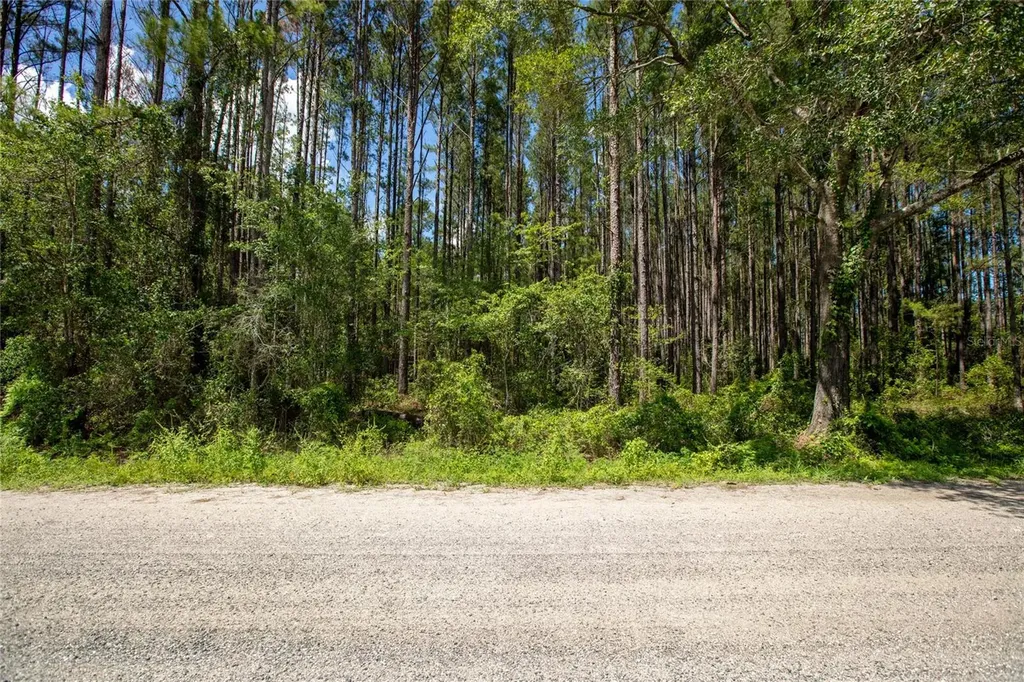 NW 185th Street Starke FL 32091