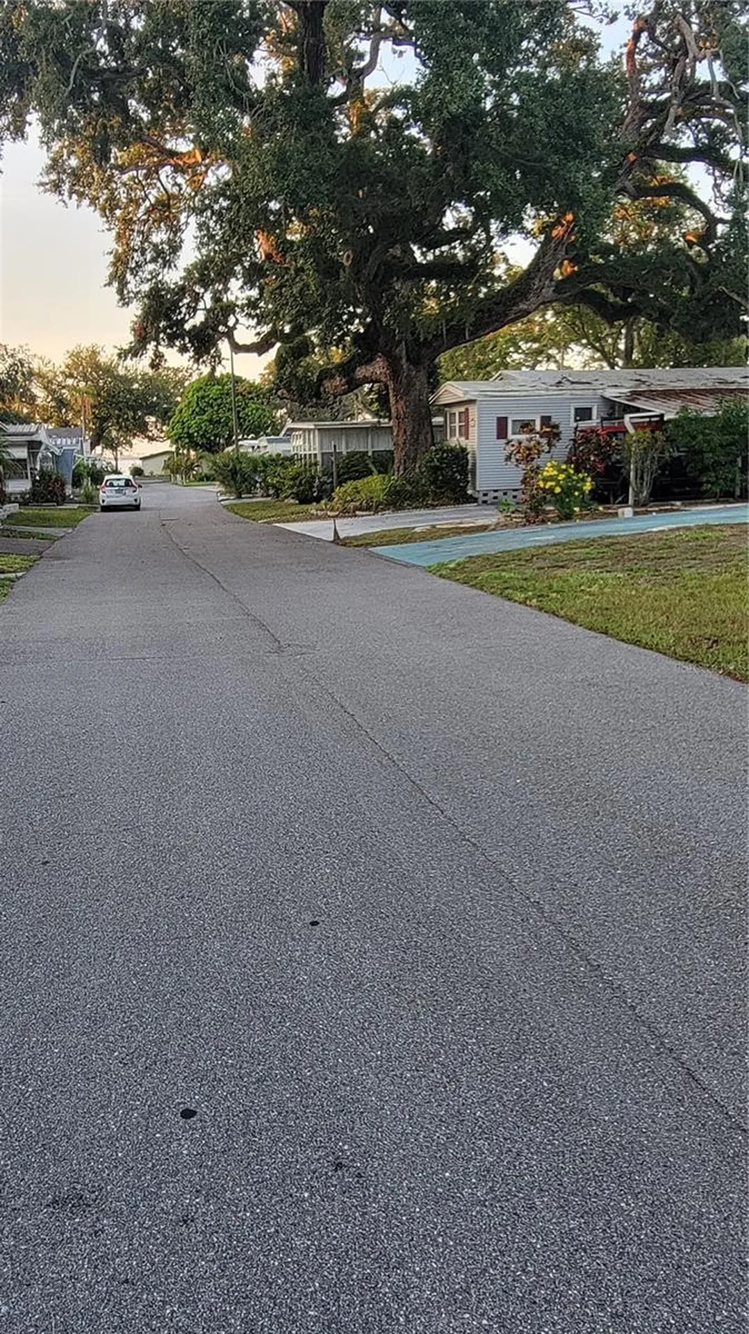 585 Sky Harbor Drive Clearwater FL 33759