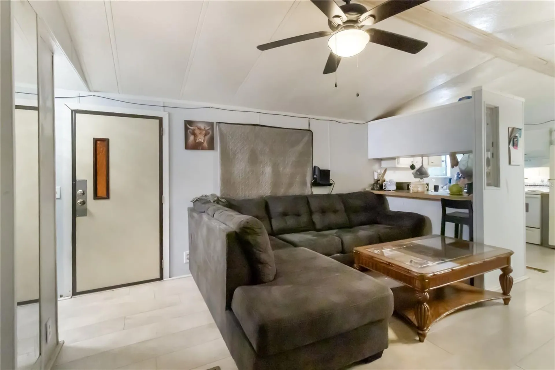 3080 Cr 417 Lake Panasoffkee FL 33538