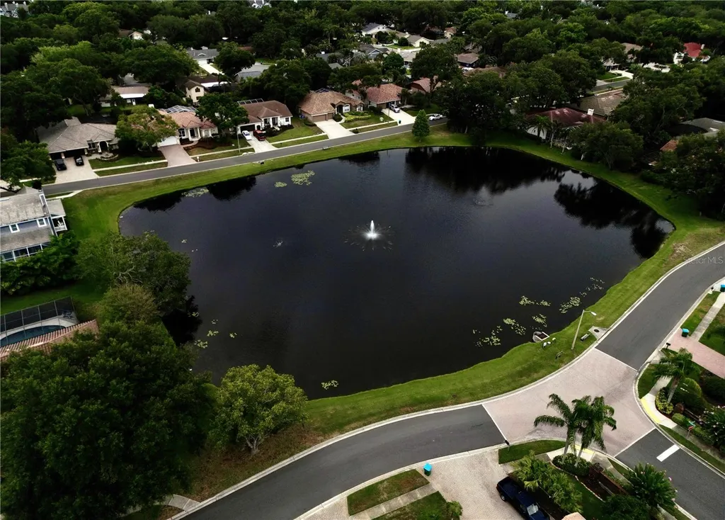 126 Old Oak Circle Palm Harbor FL 34683