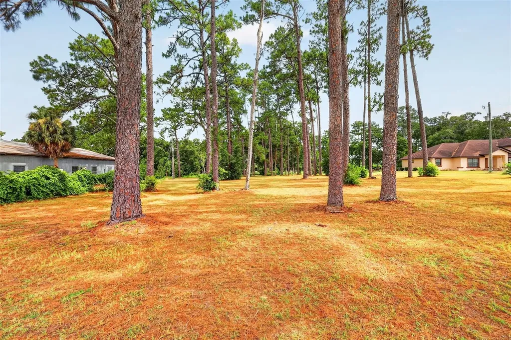 8650 SW 27th Avenue Ocala FL 34476