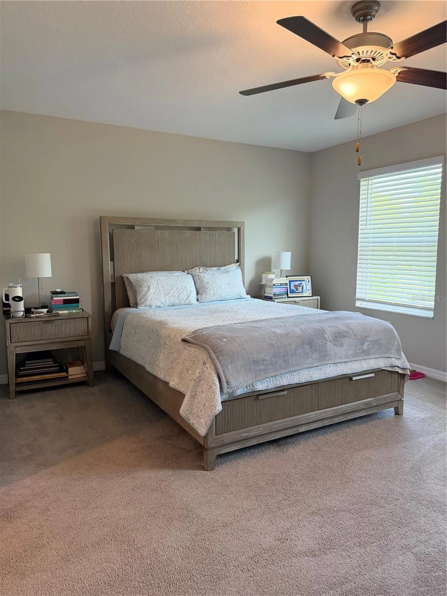 10454 Shady Preserve Drive Riverview FL 33578