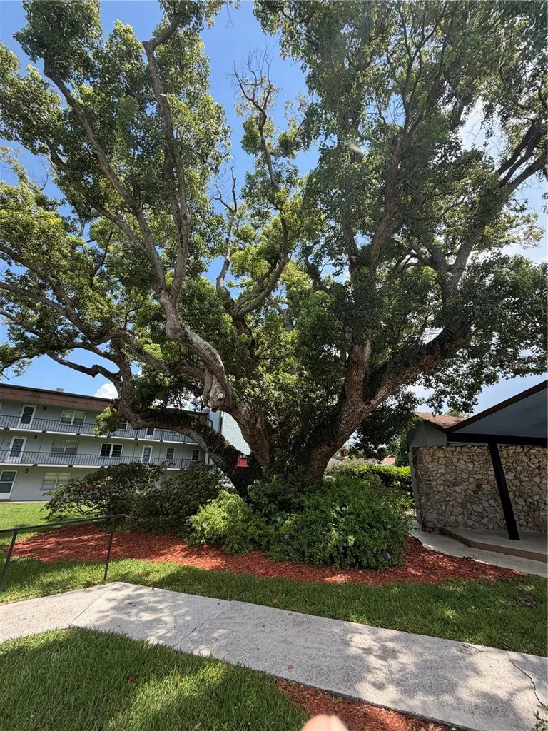 333 Lake Howard Drive NW Winter Haven FL 33880