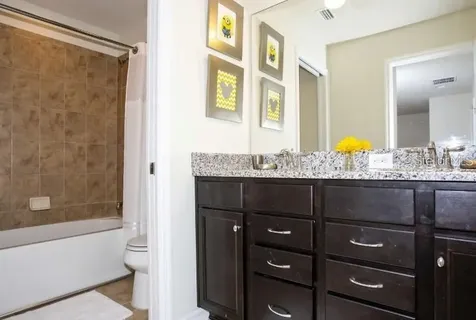 8875 Geneve Court Kissimmee FL 34747