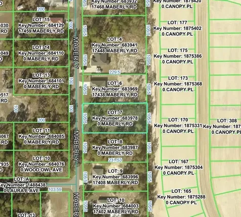 Maberly Road Weeki Wachee FL 34614