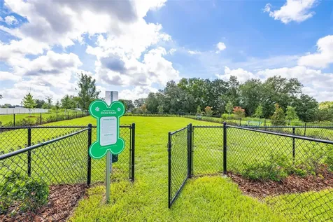 1125 Belfast Place Haines City FL 33844