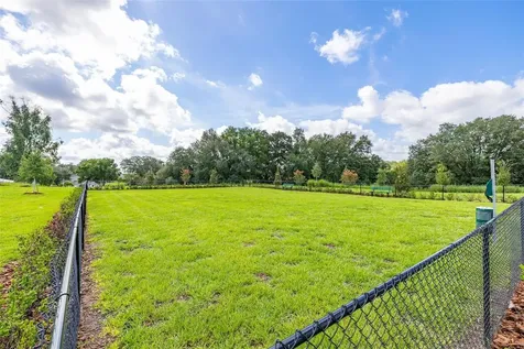 1125 Belfast Place Haines City FL 33844