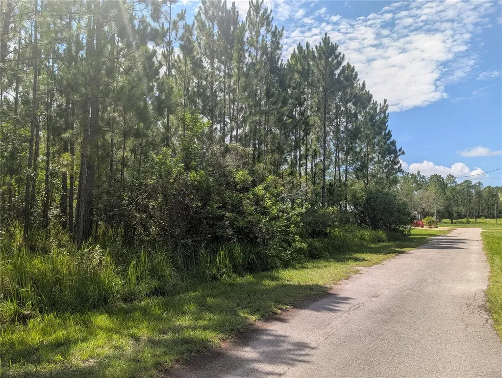28 & 30 Amaryllis Drive Indian Lake Estates FL 33855