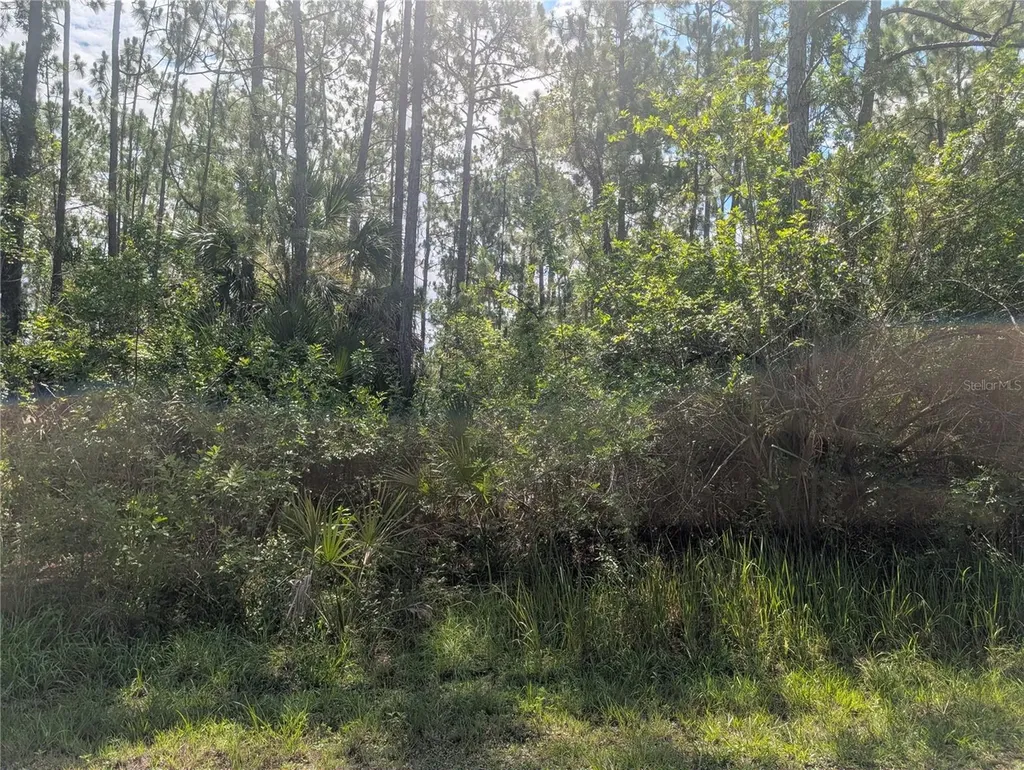 28 & 30 Amaryllis Drive Indian Lake Estates FL 33855