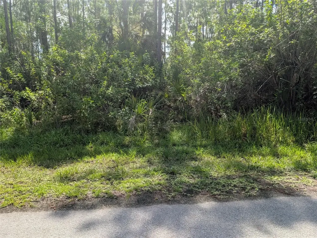 28 & 30 Amaryllis Drive Indian Lake Estates FL 33855