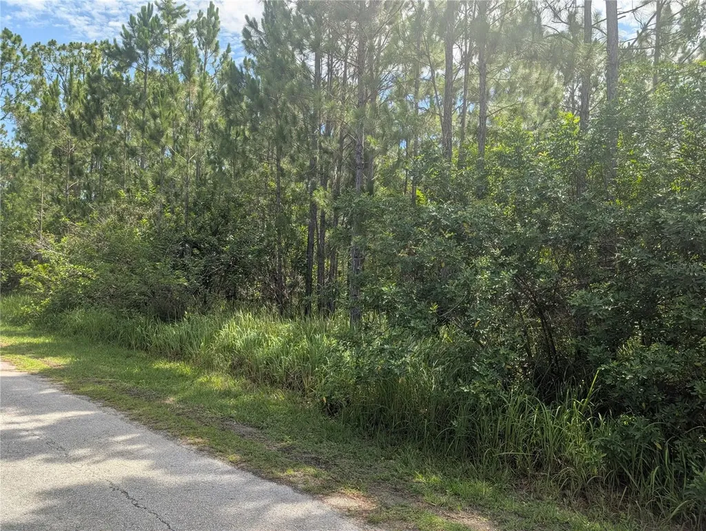 28 & 30 Amaryllis Drive Indian Lake Estates FL 33855