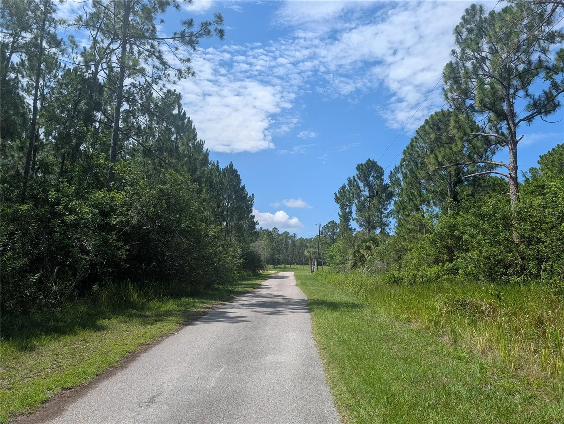 28 & 30 Amaryllis Drive Indian Lake Estates FL 33855