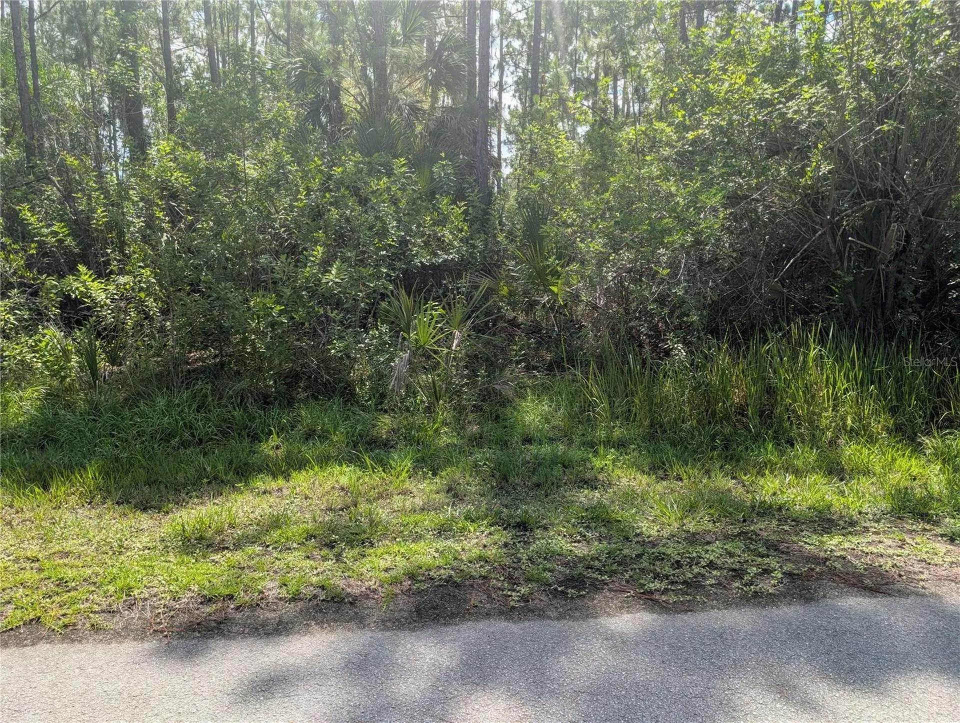 28 & 30 Amaryllis Drive Indian Lake Estates FL 33855