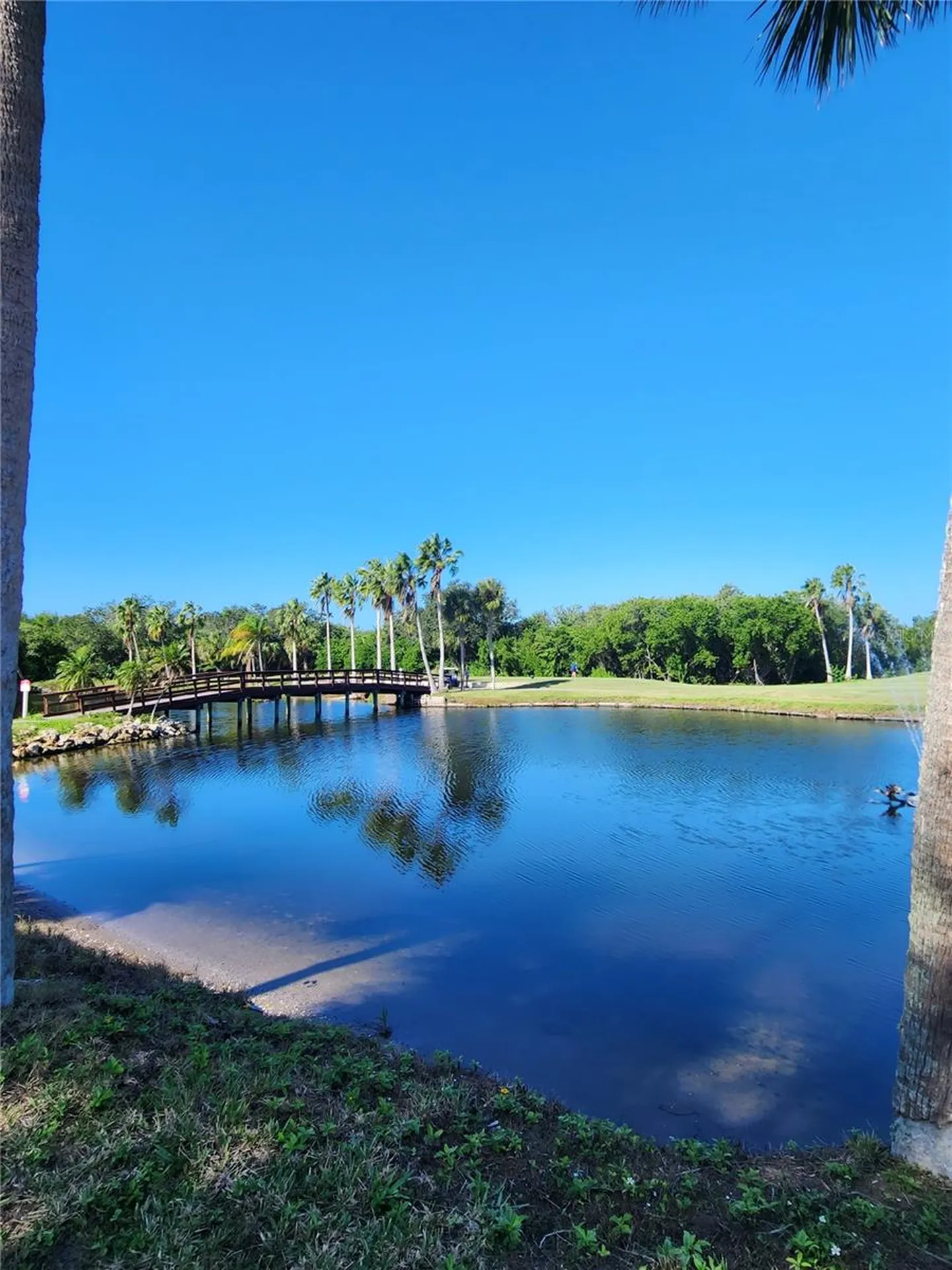 800 Cove Cay Drive Clearwater FL 33760