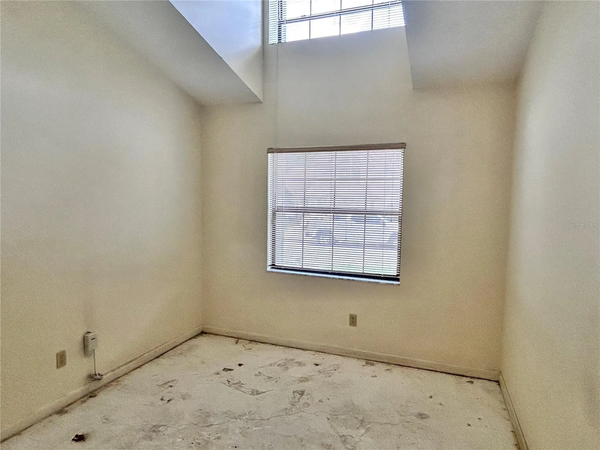 11233 Elmfield Drive Tampa FL 33625