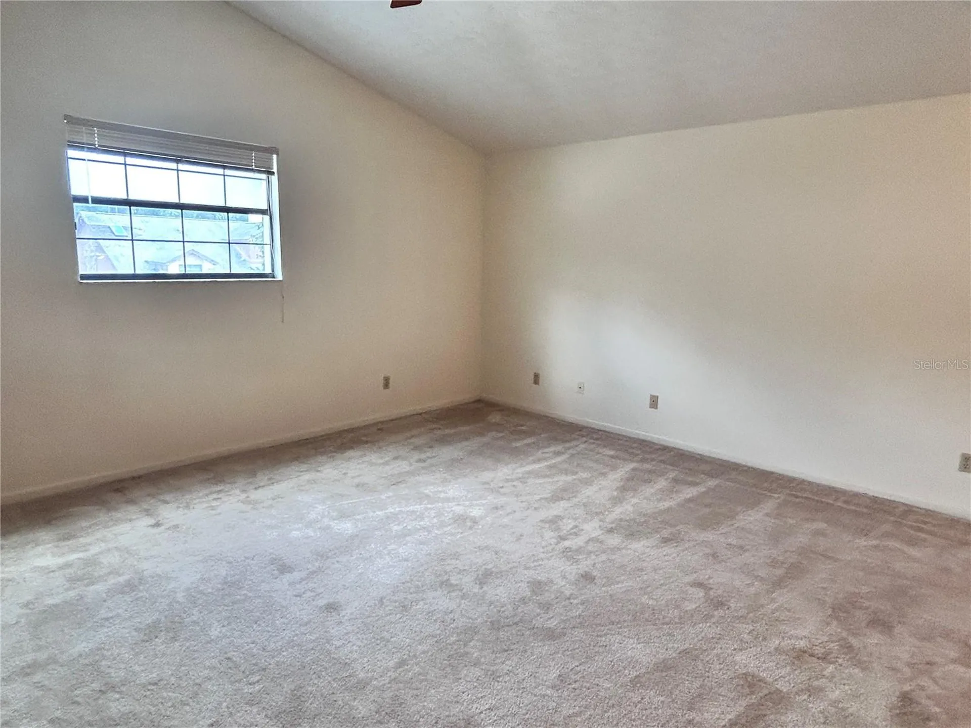 11233 Elmfield Drive Tampa FL 33625