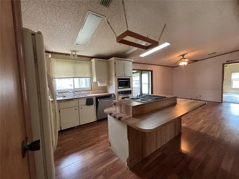 2541 Amyris Court Zellwood FL 32798