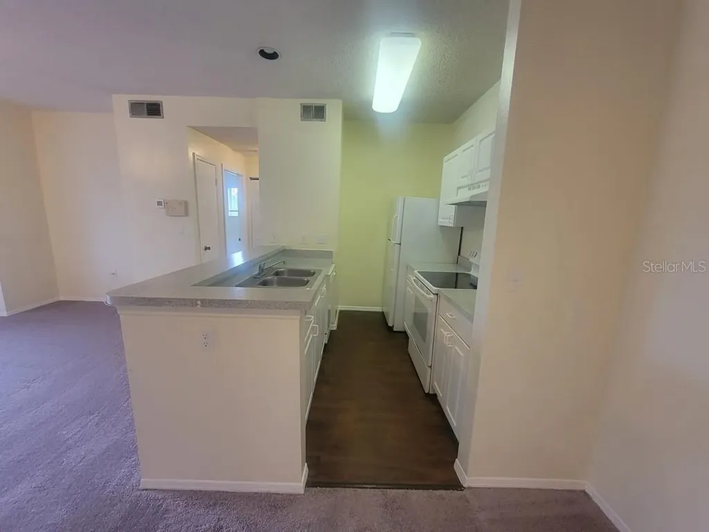 10020 Strafford Oak Court Tampa FL 33624