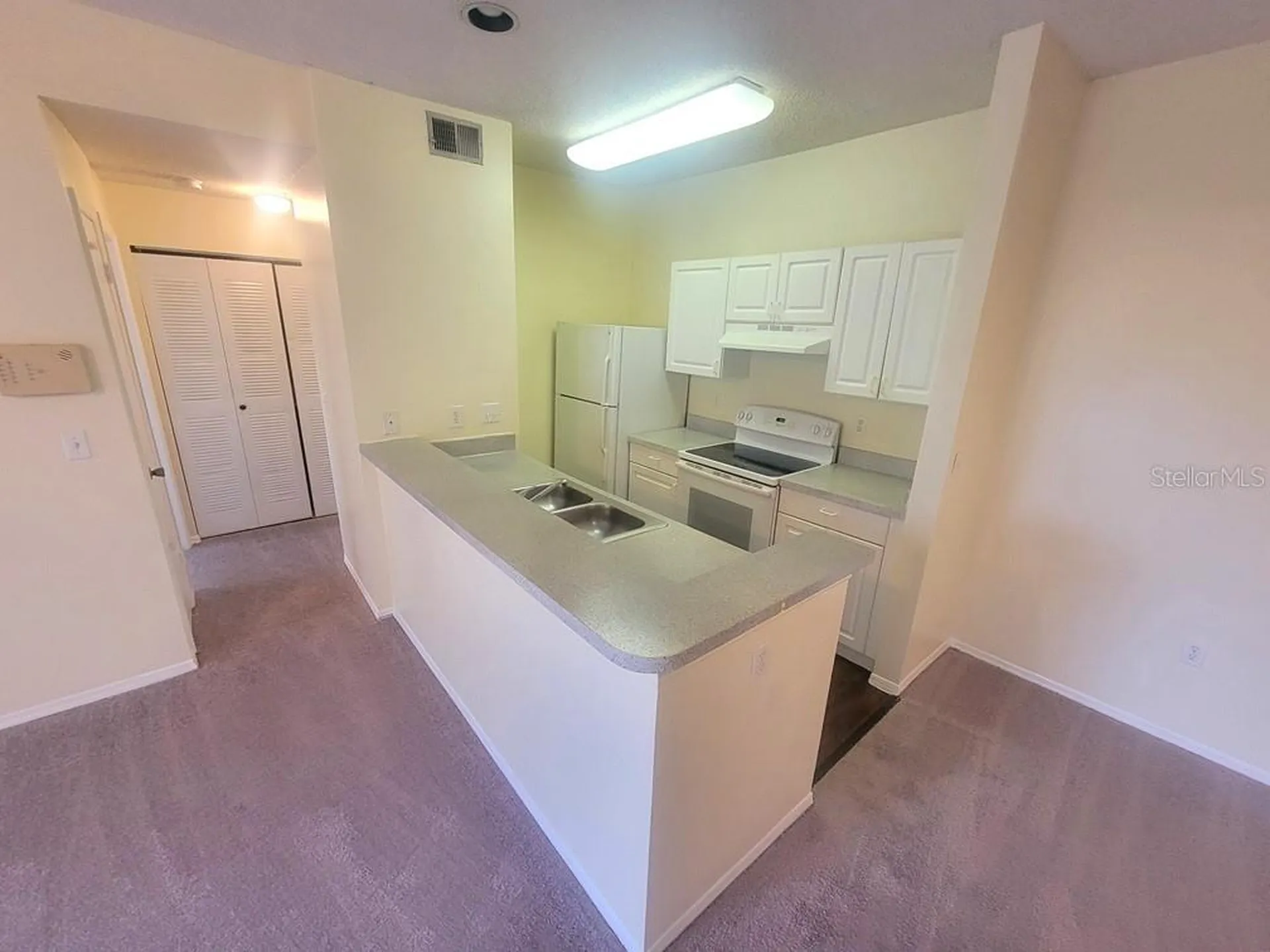 10020 Strafford Oak Court Tampa FL 33624