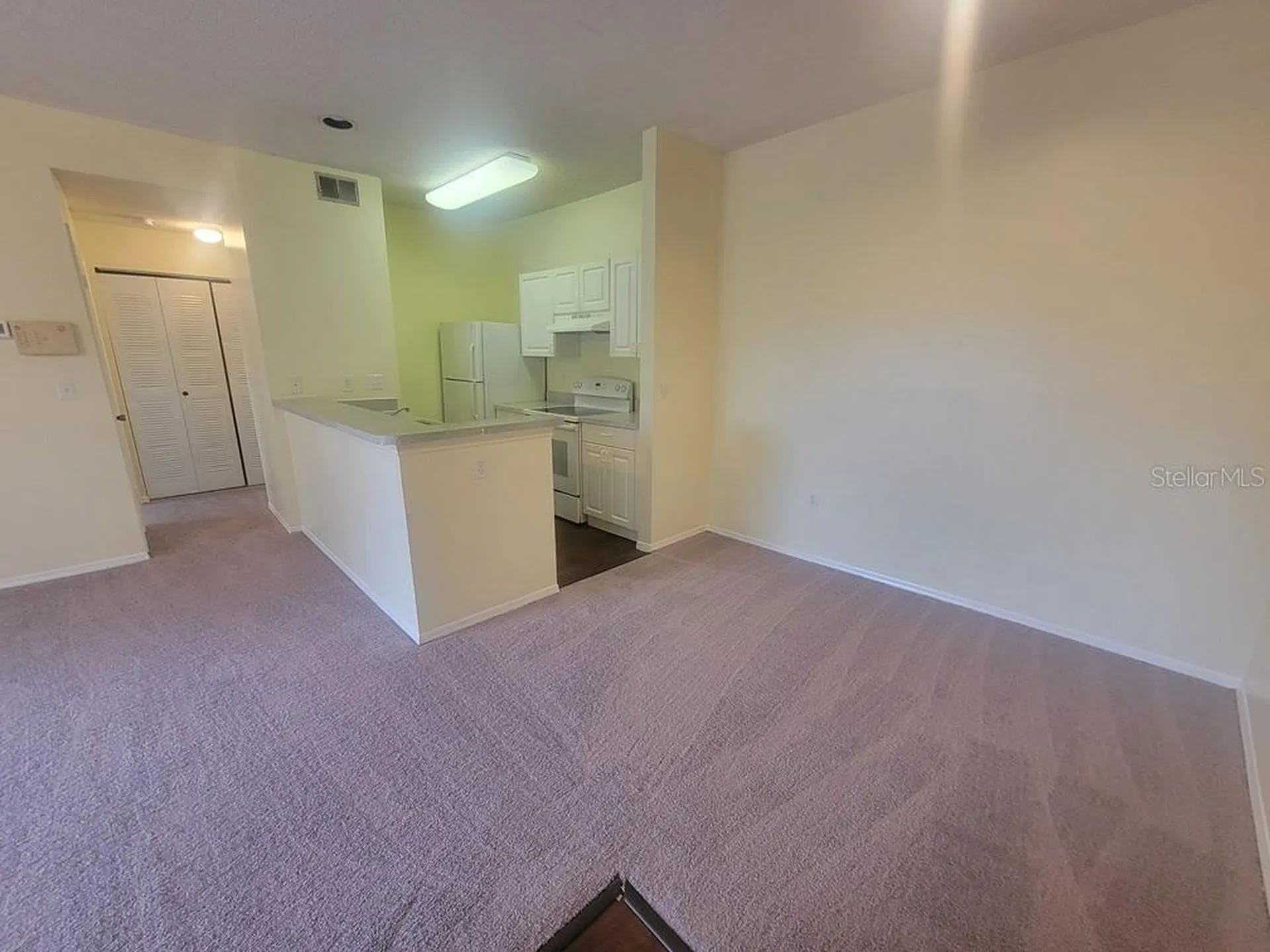 10020 Strafford Oak Court Tampa FL 33624