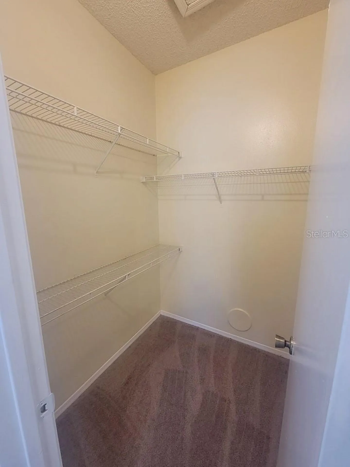 10020 Strafford Oak Court Tampa FL 33624