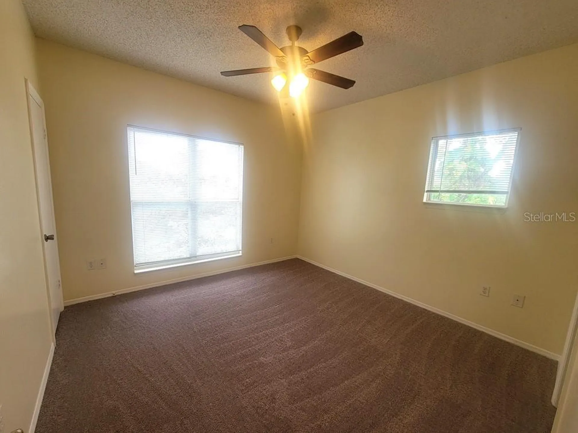 10020 Strafford Oak Court Tampa FL 33624