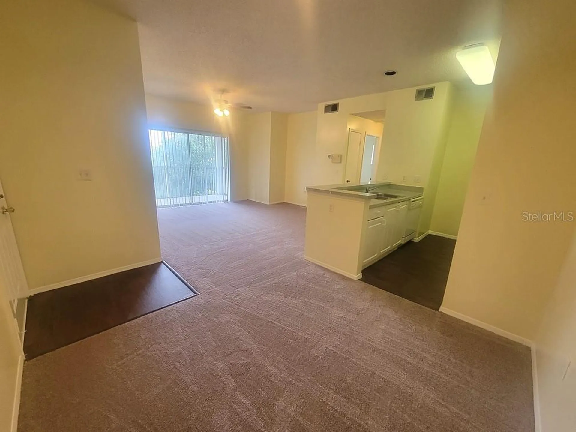 10020 Strafford Oak Court Tampa FL 33624