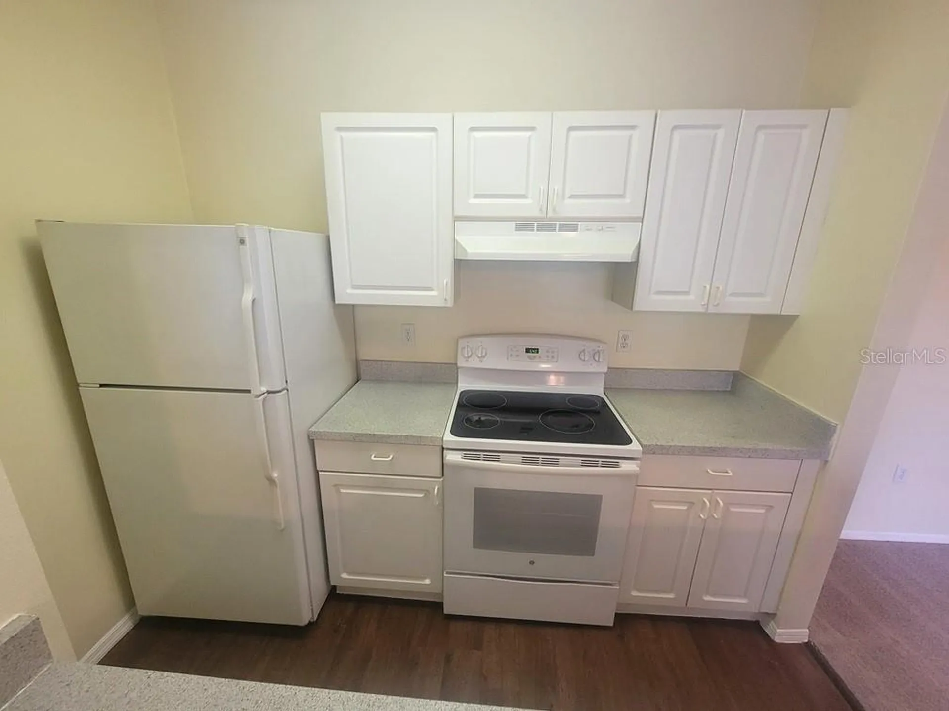 10020 Strafford Oak Court Tampa FL 33624