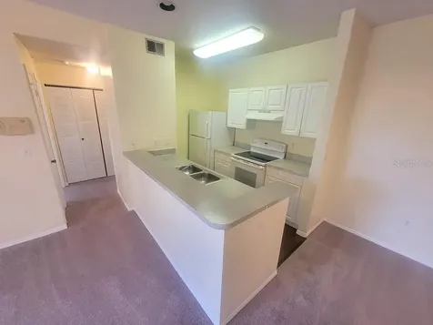 10020 Strafford Oak Court Tampa FL 33624