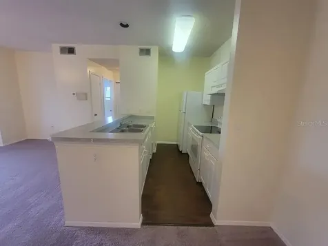 10020 Strafford Oak Court Tampa FL 33624