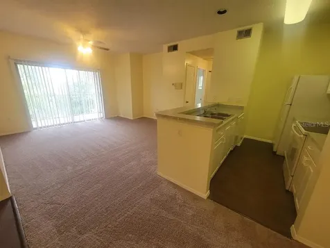 10020 Strafford Oak Court Tampa FL 33624