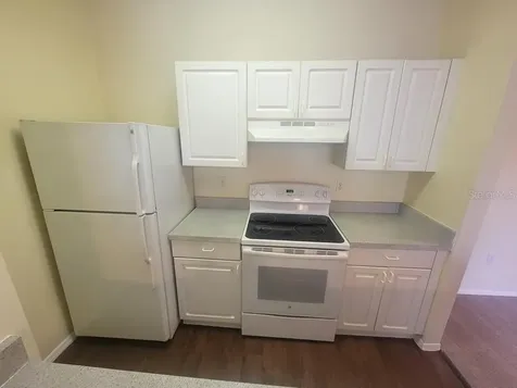 10020 Strafford Oak Court Tampa FL 33624