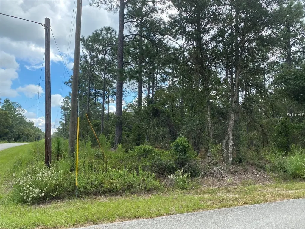 00 SW Buena Vista Road Dunnellon FL 34431