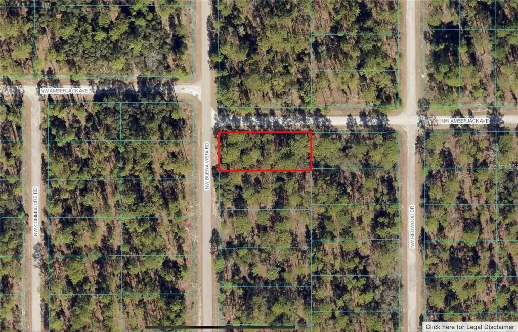 00 SW Buena Vista Road Dunnellon FL 34431