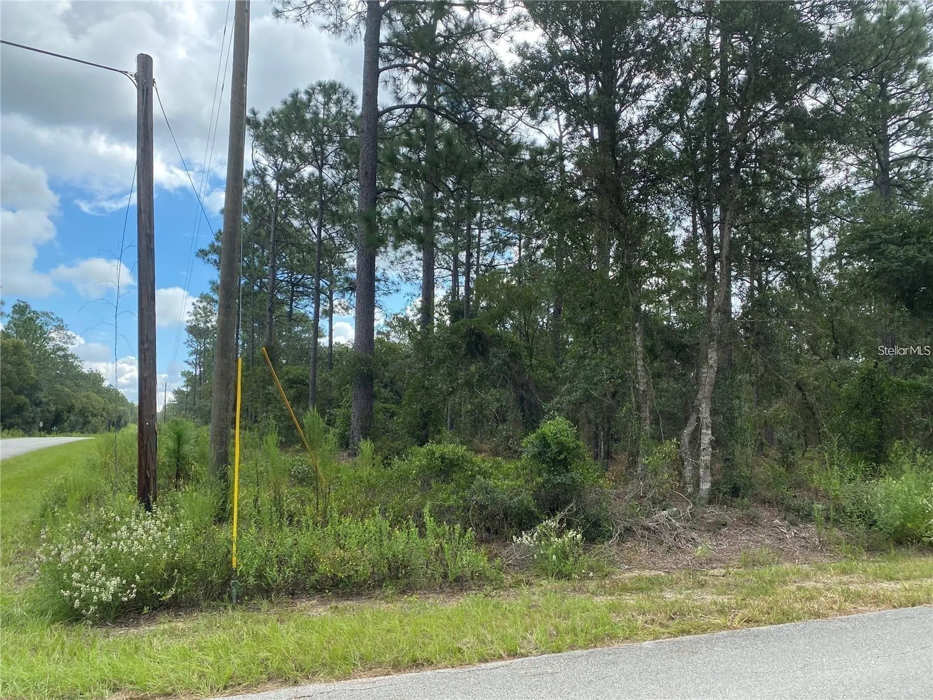 00 SW Buena Vista Road Dunnellon FL 34431