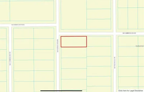00 SW Buena Vista Road Dunnellon FL 34431